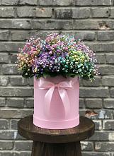Цветочная композиция из Гипсофила и Розы в шляпной коробке #REPLACE_PRED# Сямже