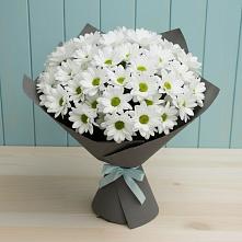 Букет цветов из:  Хризантемы в Сямже