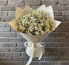 Букет цветов из:  Ромашки в Сямже