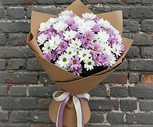 Букет цветов из:  Хризантемы в Сямже