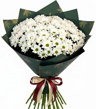 Букет цветов из:  Хризантемы в Сямже