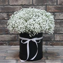 Цветочная композиция из Гипсофила в шляпной коробке в Сямже