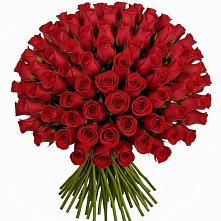 Букет Красные розы Чери Лав в Сямже