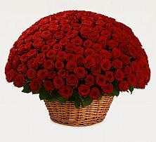 Премиум букет из: Розы в Сямже